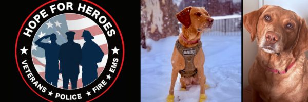 A New Chapter, On Four Paws: Hope For Heroes Brings Confidence and Joy to Veterans